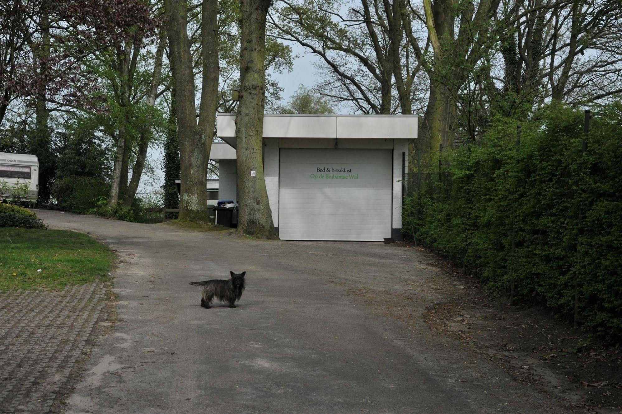 B&B Op De Brabantse Wal Halsteren Экстерьер фото